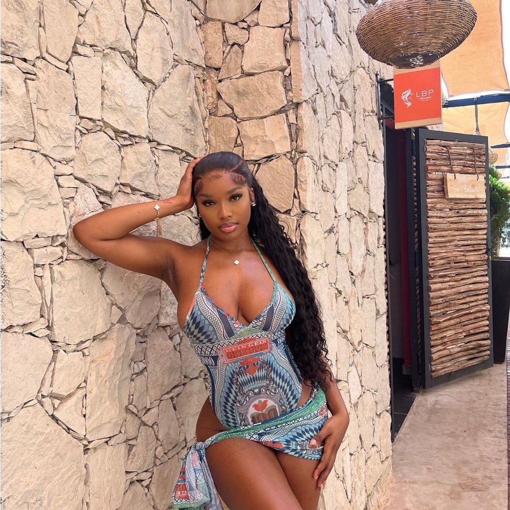 SW Label one piece mesh bikini